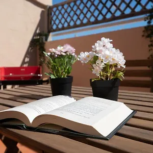 ático Santa María En El Corazón De Apartamento Cádiz